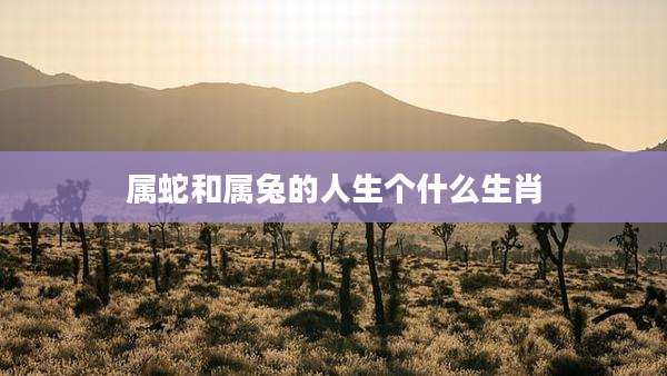 属蛇和属兔的人生个什么生肖