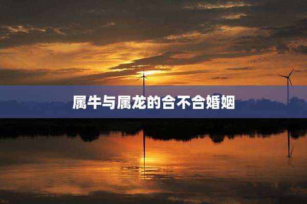 属牛与属龙的合不合婚姻