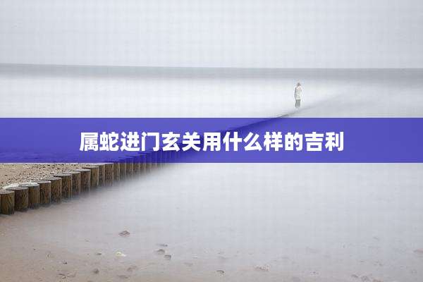 属蛇进门玄关用什么样的吉利