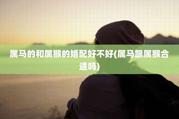 属马的和属猴的婚配好不好(属马跟属猴合适吗)