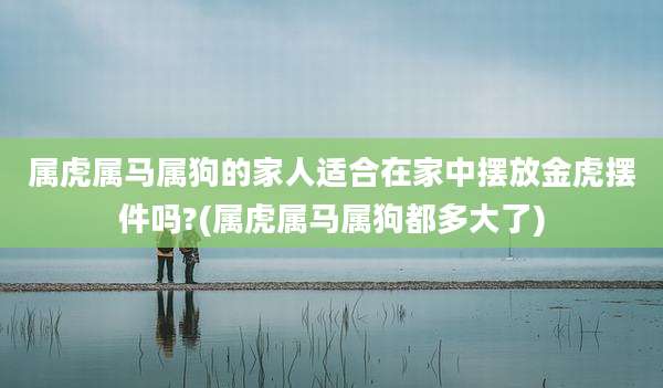属虎属马属狗的家人适合在家中摆放金虎摆件吗?(属虎属马属狗都多大了)