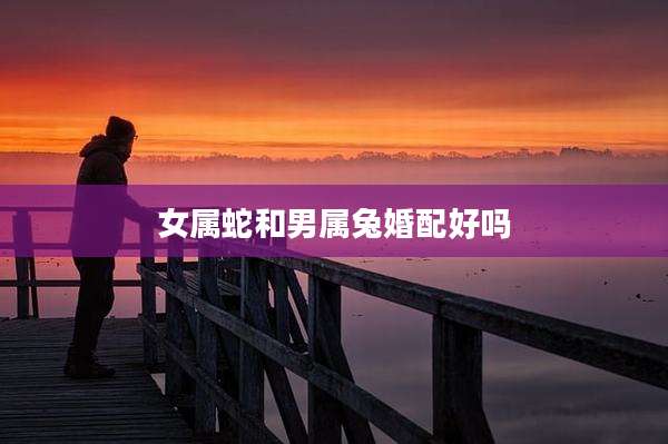 女属蛇和男属兔婚配好吗