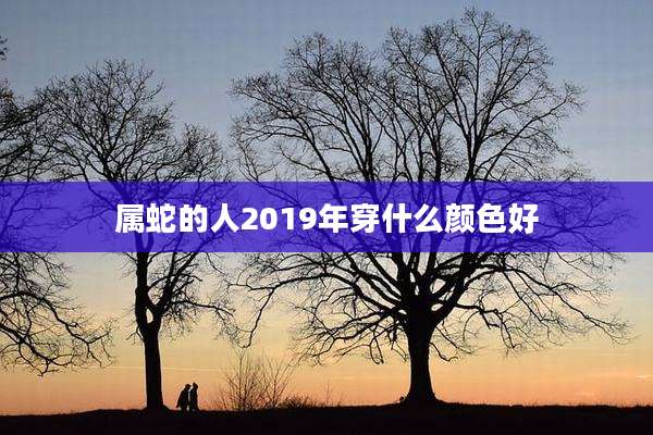 属蛇的人2019年穿什么颜色好