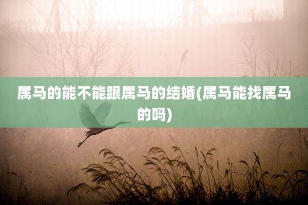 属马的能不能跟属马的结婚(属马能找属马的吗)