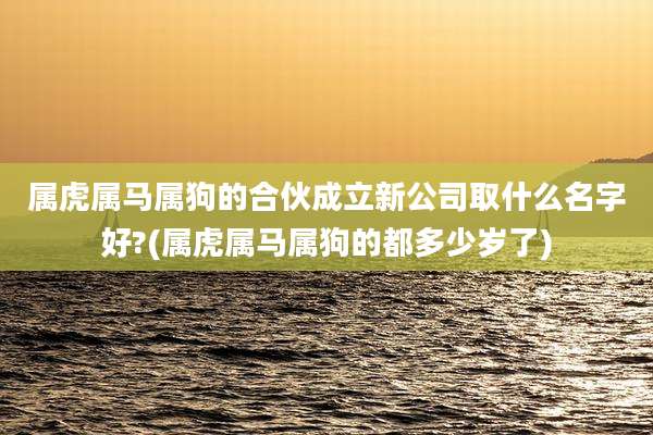 属虎属马属狗的合伙成立新公司取什么名字好?(属虎属马属狗的都多少岁了)