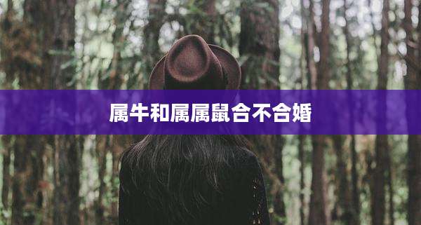 属牛和属属鼠合不合婚
