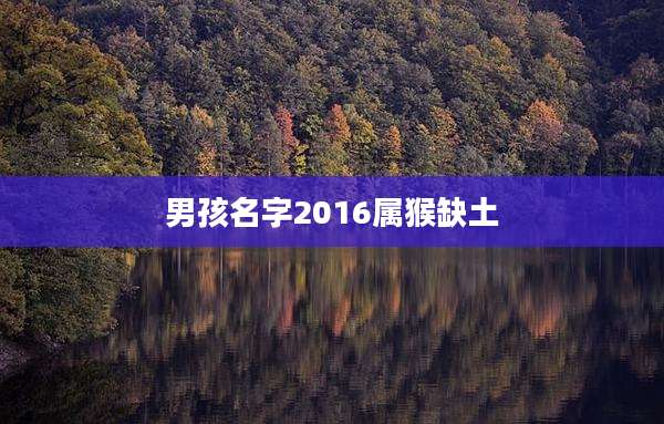 男孩名字2016属猴缺土