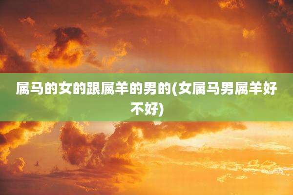 属马的女的跟属羊的男的(女属马男属羊好不好)