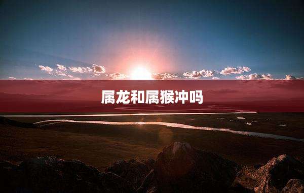 属龙和属猴冲吗