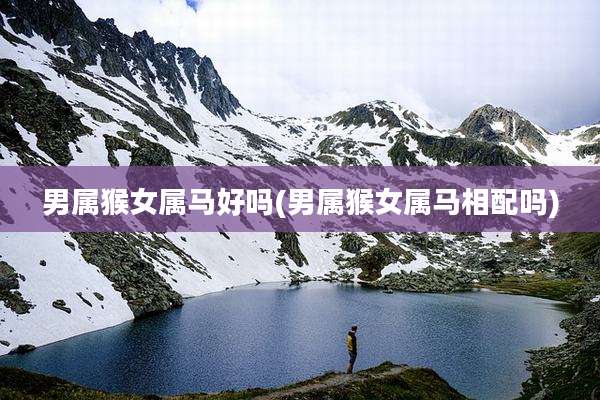 男属猴女属马好吗(男属猴女属马相配吗)