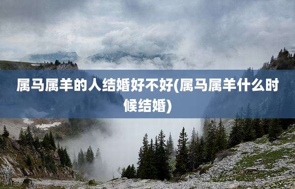 属马属羊的人结婚好不好(属马属羊什么时候结婚)