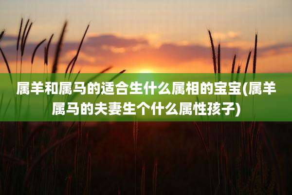 属羊和属马的适合生什么属相的宝宝(属羊属马的夫妻生个什么属性孩子)