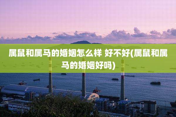 属鼠和属马的婚姻怎么样 好不好(属鼠和属马的婚姻好吗)