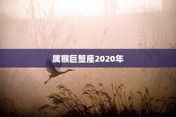 属猴巨蟹座2020年