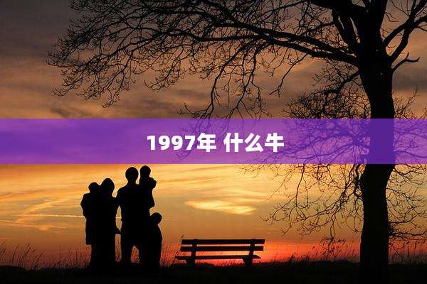 1997年 什么牛