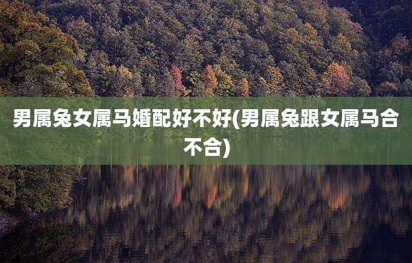 男属兔女属马婚配好不好(男属兔跟女属马合不合)