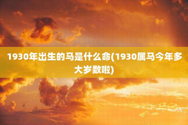 1930年出生的马是什么命(1930属马今年多大岁数啦)