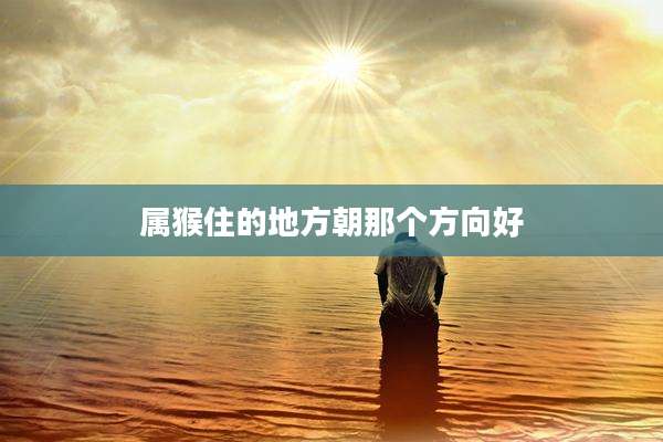 属猴住的地方朝那个方向好