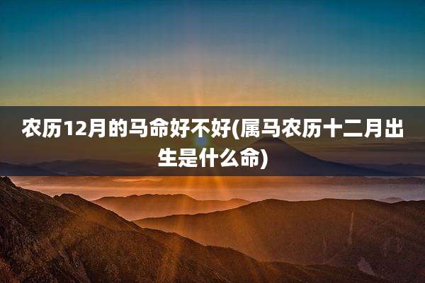 农历12月的马命好不好(属马农历十二月出生是什么命)