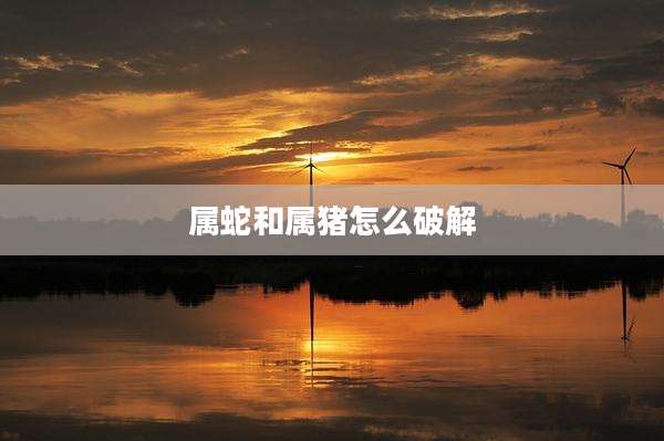 属蛇和属猪怎么破解