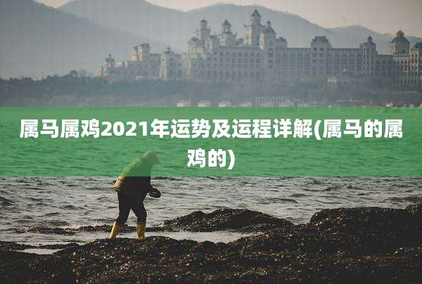 属马属鸡2021年运势及运程详解(属马的属鸡的)