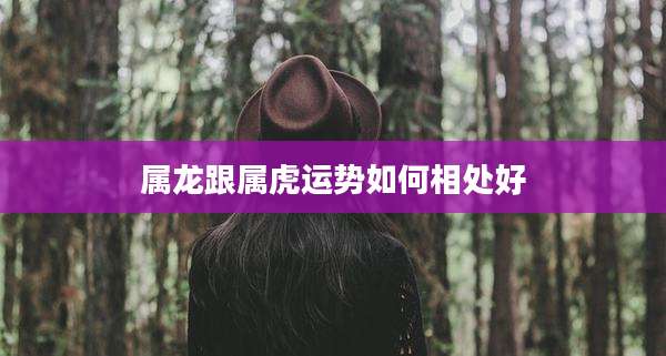 属龙跟属虎运势如何相处好