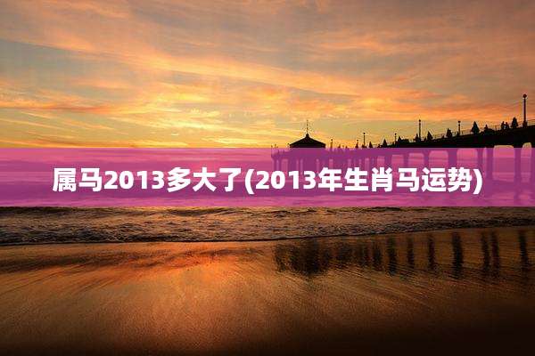 属马2013多大了(2013年生肖马运势)