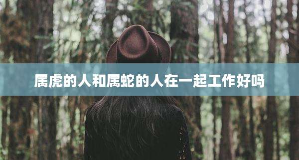 属虎的人和属蛇的人在一起工作好吗
