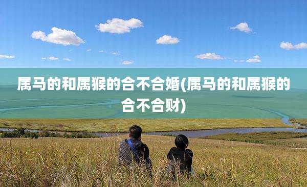 属马的和属猴的合不合婚(属马的和属猴的合不合财)