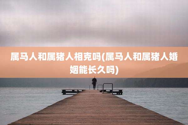 属马人和属猪人相克吗(属马人和属猪人婚姻能长久吗)