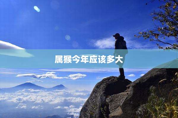 属猴今年应该多大