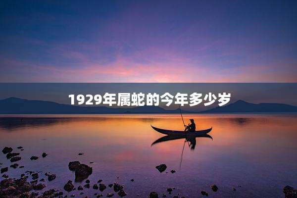 1929年属蛇的今年多少岁