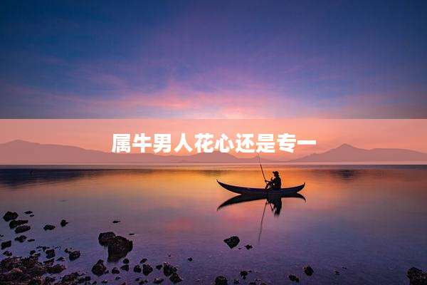 属牛男人花心还是专一