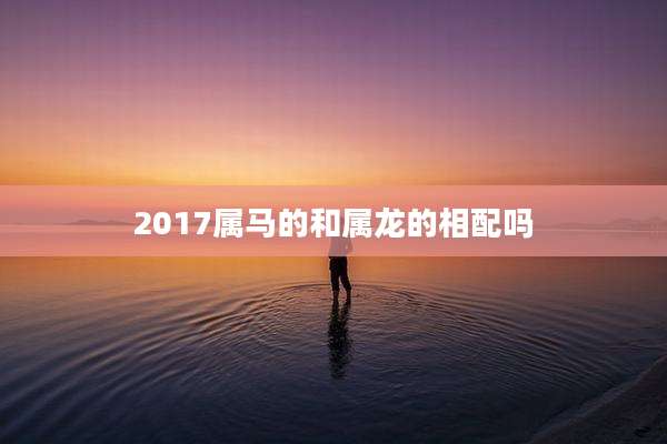 2017属马的和属龙的相配吗
