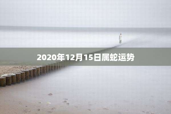 2020年12月15日属蛇运势