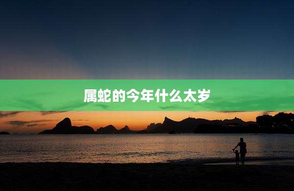 属蛇的今年什么太岁