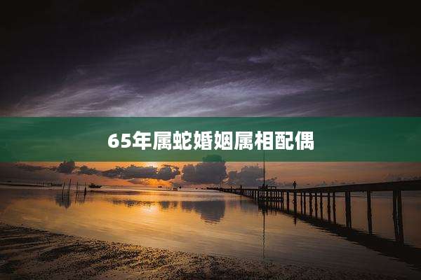 65年属蛇婚姻属相配偶