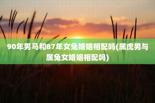 90年男马和87年女兔婚姻相配吗(属虎男与属兔女婚姻相配吗)