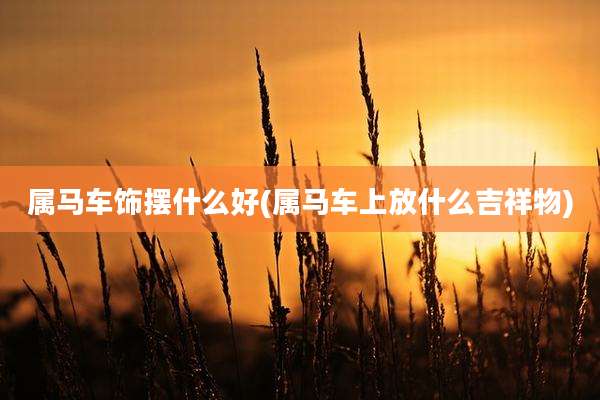 属马车饰摆什么好(属马车上放什么吉祥物)