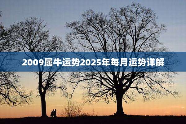 2009属牛运势2025年每月运势详解