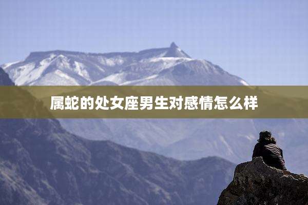 属蛇的处女座男生对感情怎么样