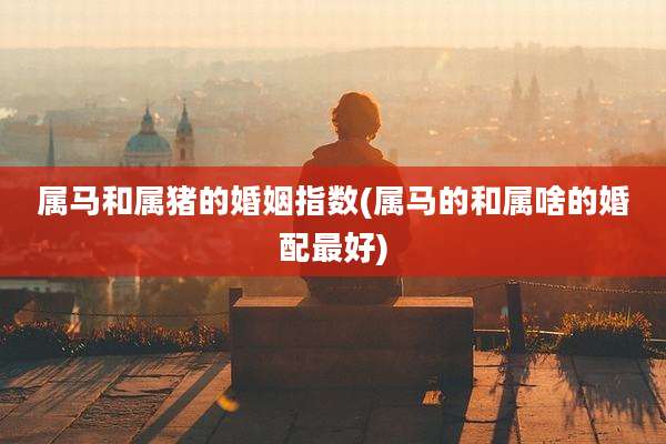 属马和属猪的婚姻指数(属马的和属啥的婚配最好)