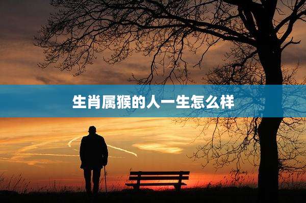 生肖属猴的人一生怎么样