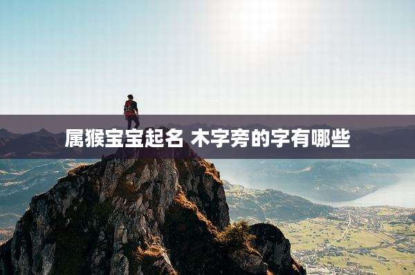 属猴宝宝起名 木字旁的字有哪些