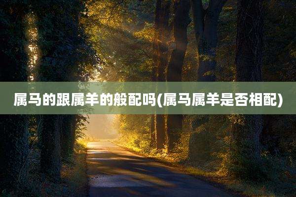 属马的跟属羊的般配吗(属马属羊是否相配)