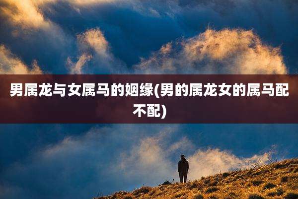 男属龙与女属马的姻缘(男的属龙女的属马配不配)