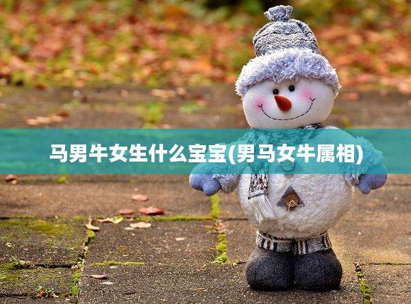 马男牛女生什么宝宝(男马女牛属相)