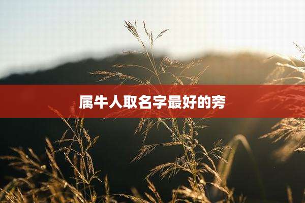 属牛人取名字最好的旁