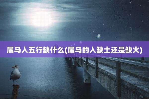 属马人五行缺什么(属马的人缺土还是缺火)