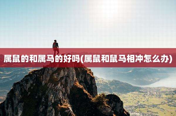 属鼠的和属马的好吗(属鼠和鼠马相冲怎么办)